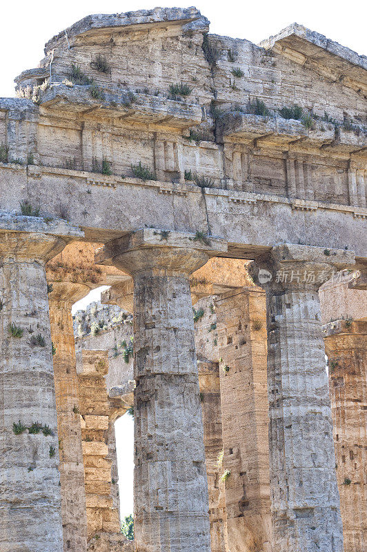 罗马神庙- Paestum